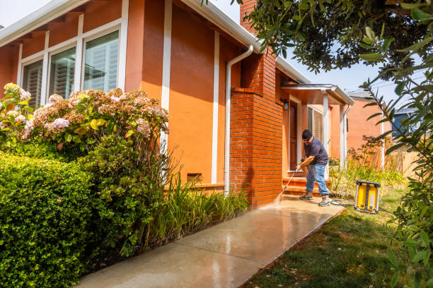 Best Residential Pressure Washing Services  in Dayton, KY