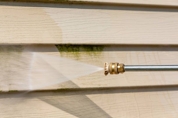 Best House Pressure Washing  in Dayton, KY