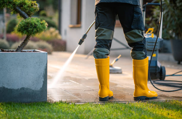 Best Local Pressure Washing Services  in Dayton, KY